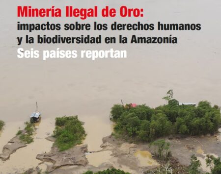  Informe internacional sobre la minería ilegal dice que Bolivia es el “hub de comercialización …