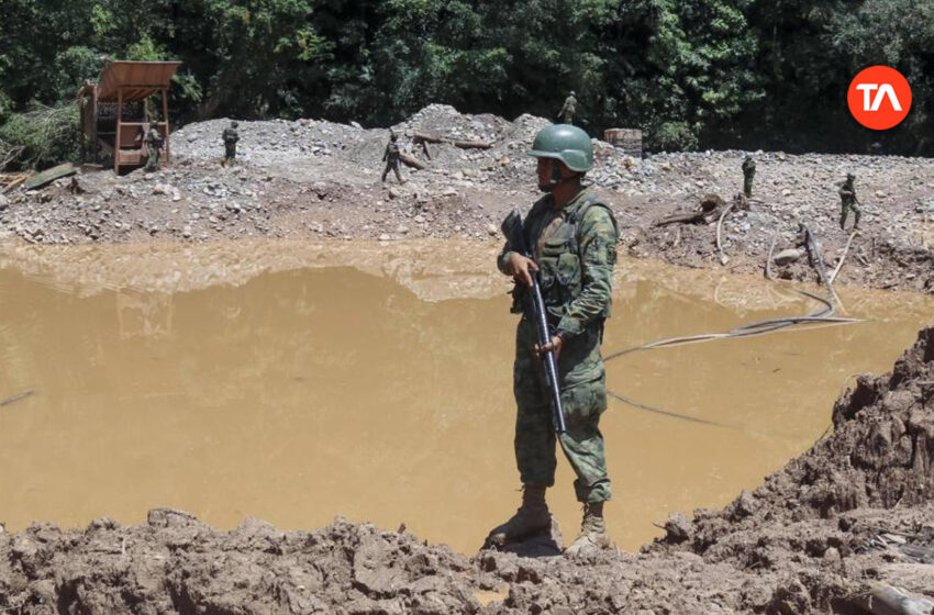  Al menos 562 hectáreas de la Amazonía de Ecuador fueron deforestadas por la minería ilegal