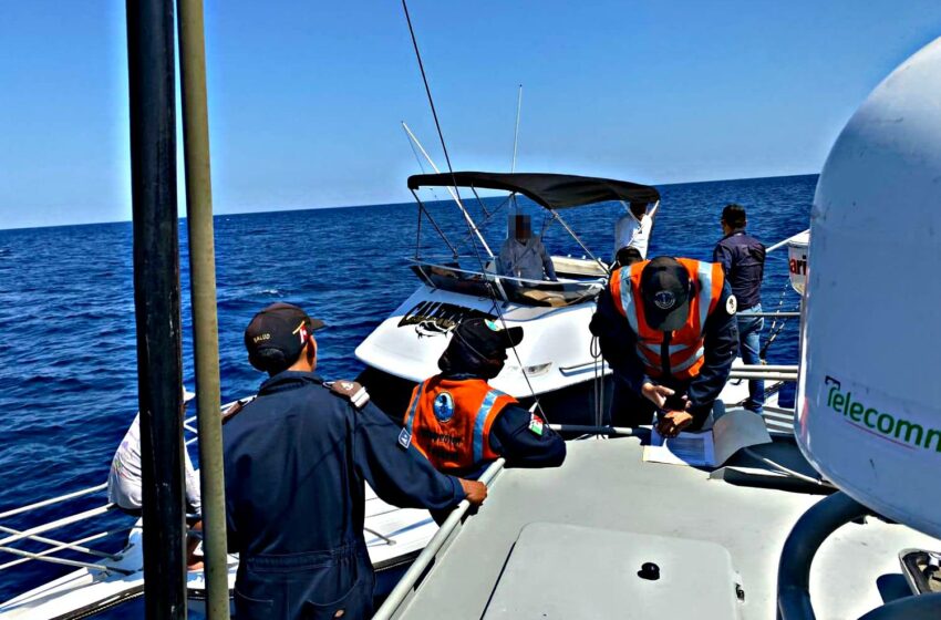  Retienen embarcación en Cabo San Lucas por pesca no autorizada de especies protegidas