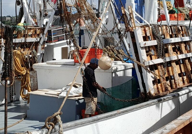  Suenan las máquinas de embarcaciones mayores, se preparan para temporada