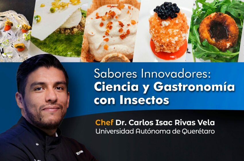  UA de C invita al Taller “Sabores Innovadores: Ciencia y Gastronomía con Insectos”