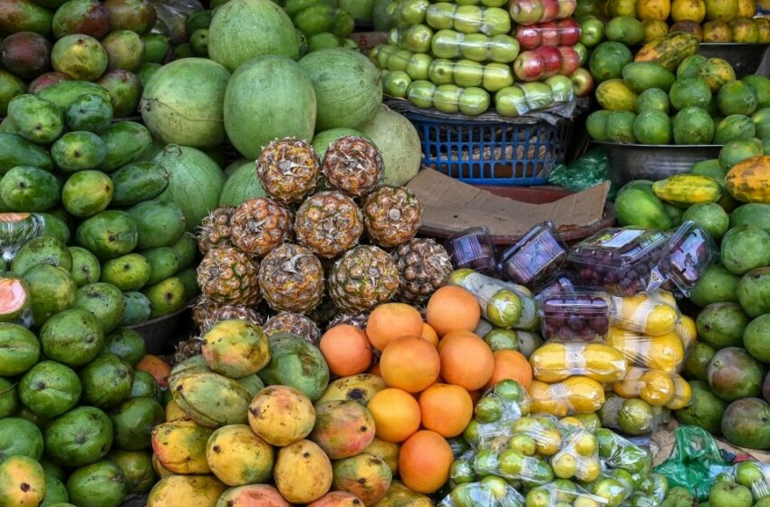  Día Mundial de la Alimentación 2024: el derecho a una dieta saludable – Eje Central