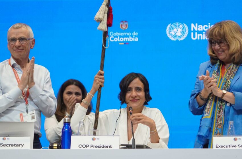  Concluye la COP16 de Cali sin un acuerdo sobre la financiación para proteger la biodiversidad