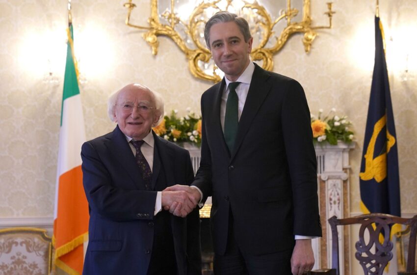  El primer ministro irlandés convoca elecciones anticipadas para el próximo 29 de noviembre