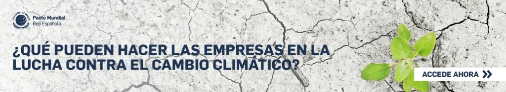 ¿Cómo pueden las empresas luchar contra el cambio climático?