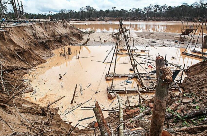  El Reinfo de la minería ilegal no debe ir más – Perú 21