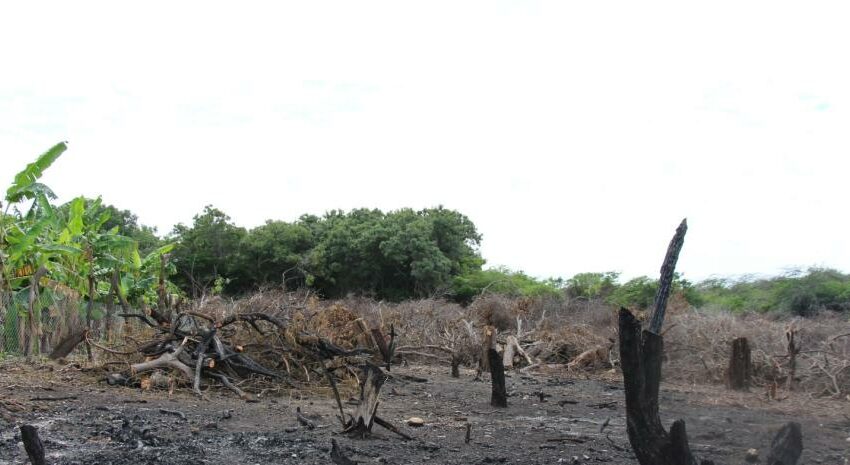  Medio Ambiente dice investiga daños causados a las Dunas de Baní – Listín Diario