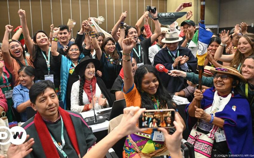  COP16 aprueba crear un órgano permanente para indígenas – DW – 02/11/2024