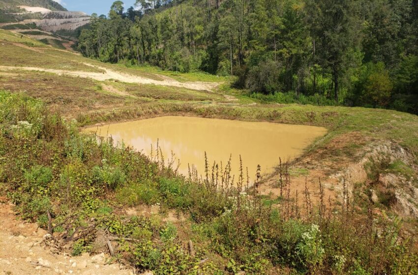  En cateo, detiene FGE a dos hombres y asegura predio relacionado en delitos contra el ambiente