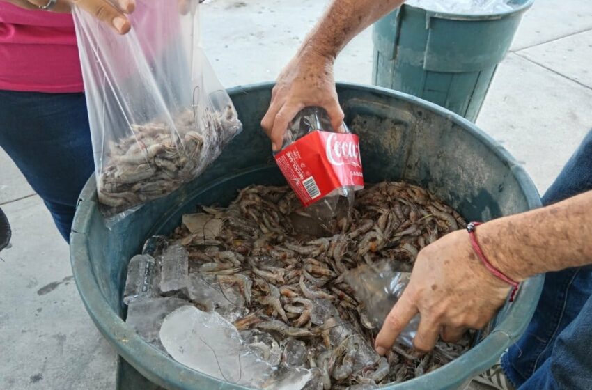  Pescadores ribereños apenas logran recuperar inversiones – La Chispa