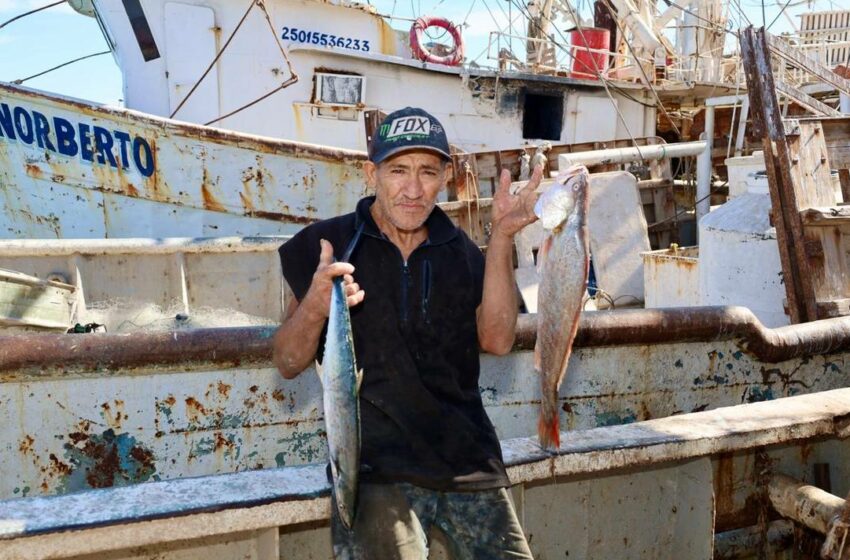  Pescador ecológico de San Felipe rema a mar abierto para capturar corvina