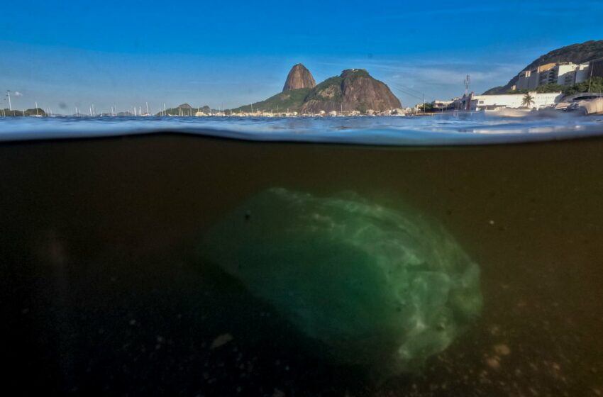  En busca de un tratado contra el plástico: los países apuran las negociaciones sin ni …