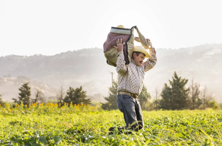  Regidores y directores municipales de agricultura (Segunda parte) – Enlace Noticias