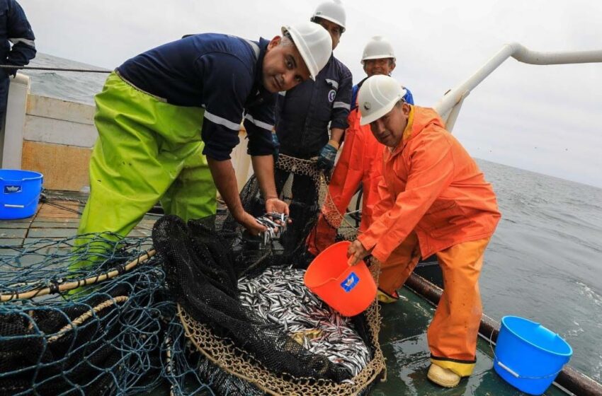  Minería e Hidrocarburos crecen 1,06% en setiembre mientras la Pesca retrocede un 14,6%