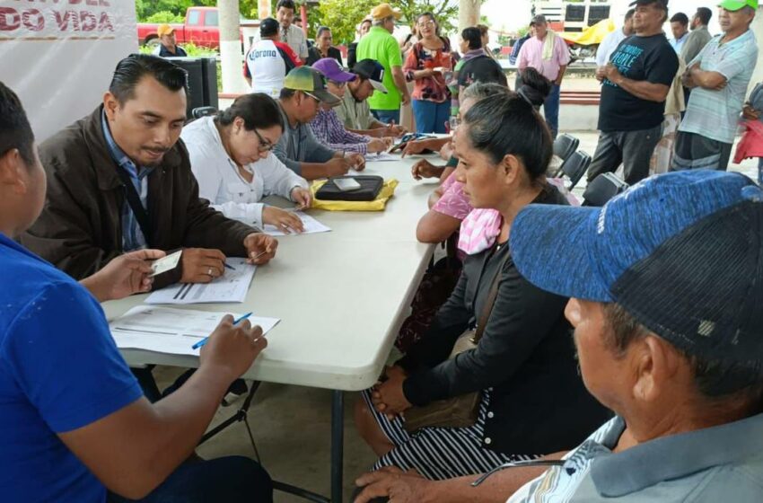  Pescando Vida y Crédito Ganadero superan los 18 mil registros en Tabasco