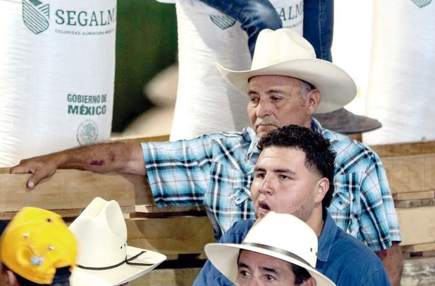  Prosebien ocupará las instalaciones de la antigua Pronase en Zacatecas