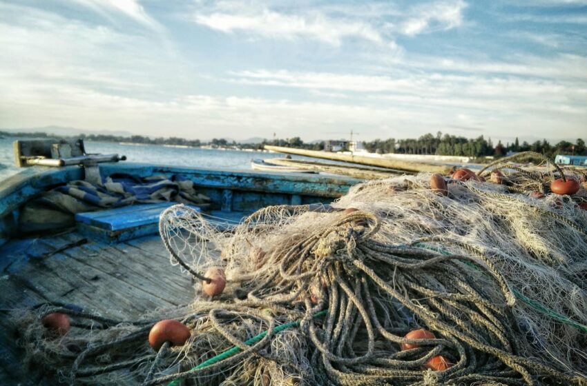  El doble beneficio de invertir en la conservación del medio ambiente | Economía – EL PAÍS