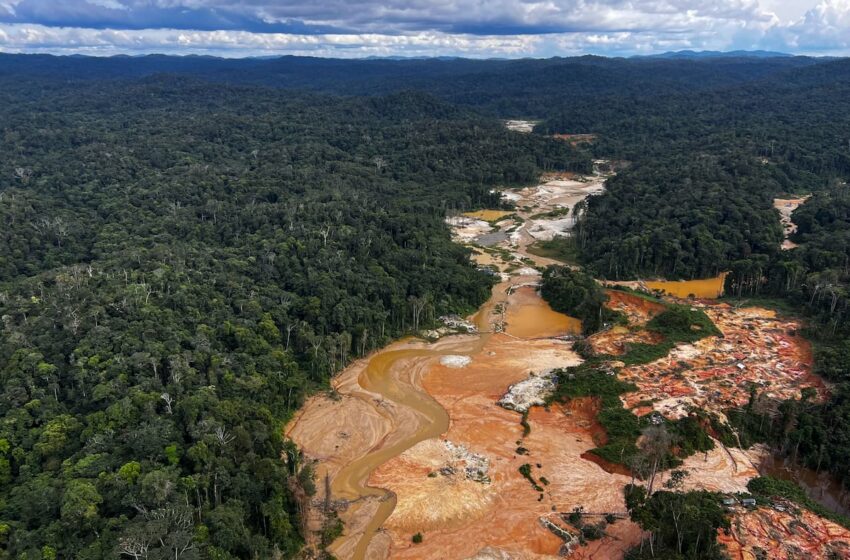  Un llamado a la acción contra la minería ilegal que amenaza la Amazonía – EL PAÍS