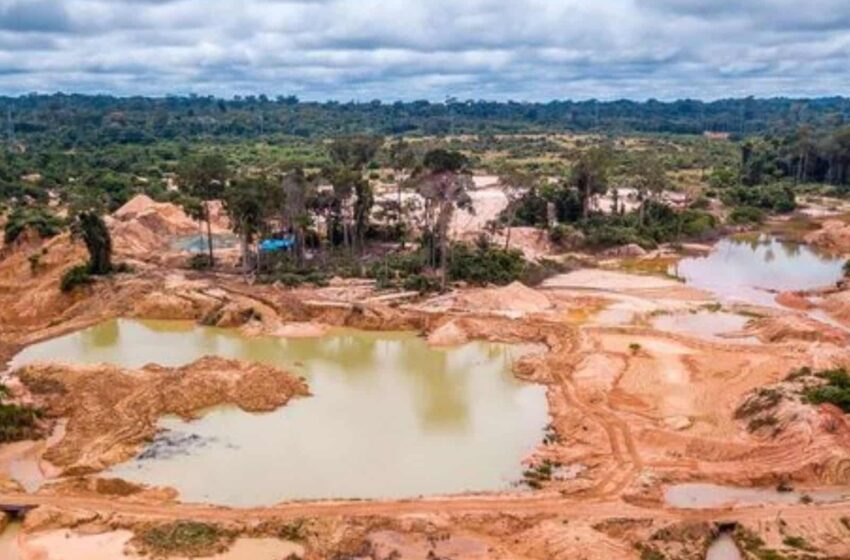  SOS Orinoco estima casi 66 mil hectáreas afectadas por la minería ilegal en la Amazonía …