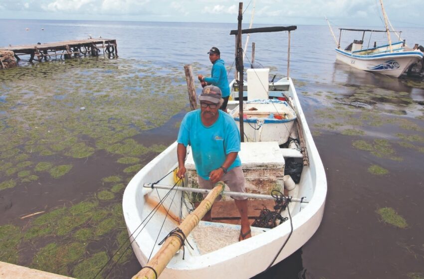  Pescadores foráneos generan conflictos en Yucatán – El Universal