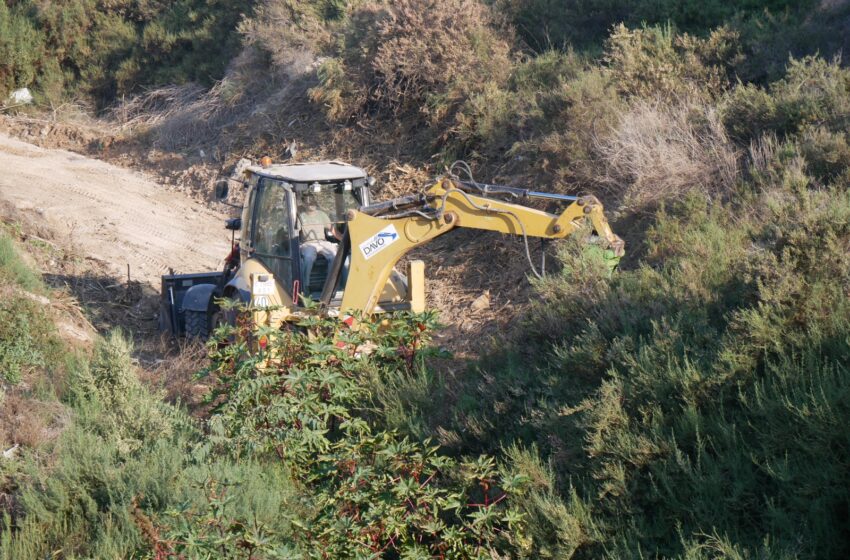  Medio Ambiente desbroza y limpia los barrancos y cauces de Crevillent