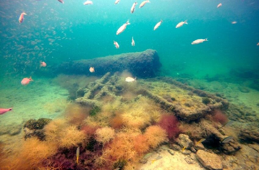  Descubren red de canales de pesca en Centroamérica precedía a los mayas | PalabrasClaras.mx