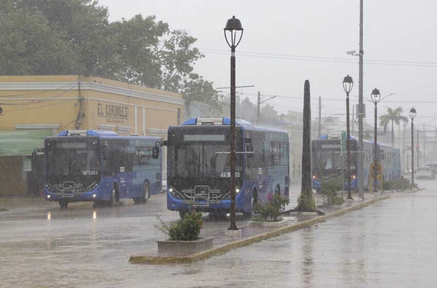  Tormenta Rafael y frente frío 8 provocarán lluvias en varios estados – Aristegui Noticias