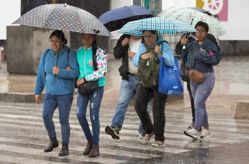  Prevén que tormenta tropical 'Sara' se debilite durante la noche – La Jornada San Luis