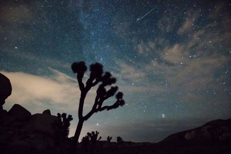  Ya Está Aquí la Lluvia de Meteoros de las Leónidas 2024