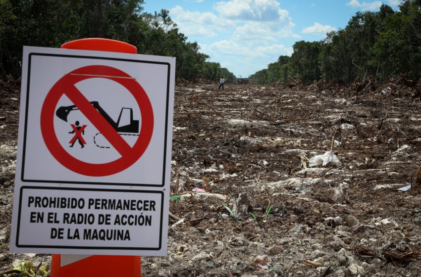  Rafael Robles de Benito | Recurso de amparo y medio ambiente – La Jornada Maya