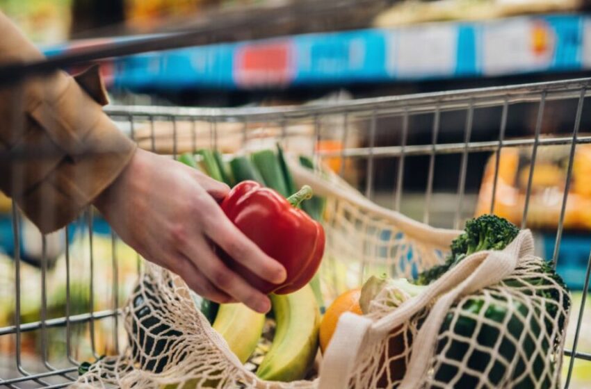  Martes y Miércoles del Campo en Soriana: Mejores descuentos en frutas y verduras para … – ADN 40