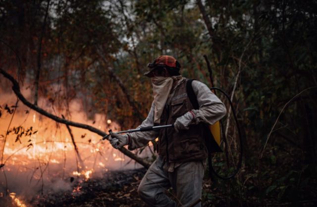  El balance ambiental de Bolivia en 2024: fuego, deforestación, minería… – El País Tarija