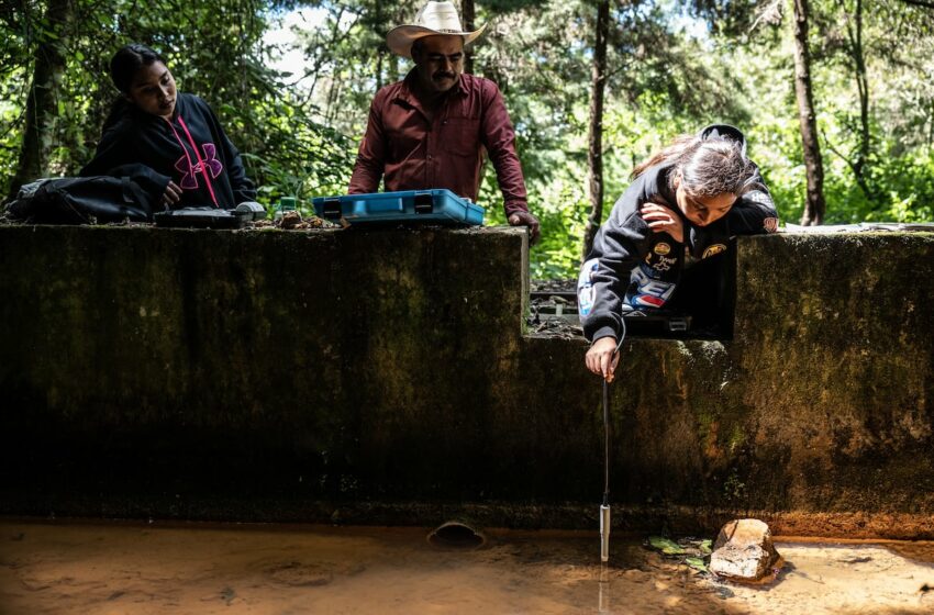  Científicos xinkas: guardianes del agua frente a la minería en Guatemala – EL PAÍS