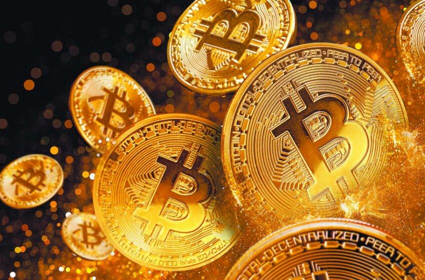  Bitcoin en la cima del éxito, sube 134% en 2024