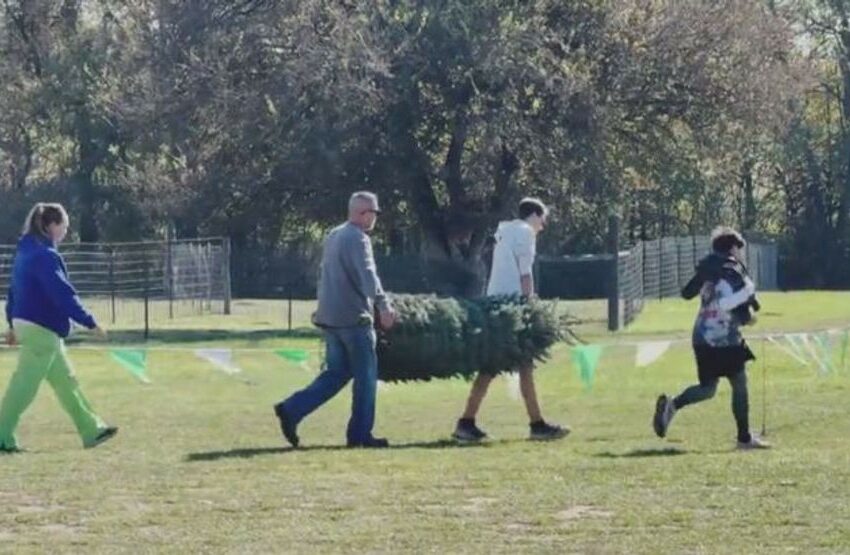  Inician programas de reciclaje de árboles de navidad naturales en el Centro de Texas