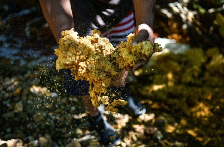  'El agua está color jugo de naranja': temor en El Salvador por el regreso de la minería metálica