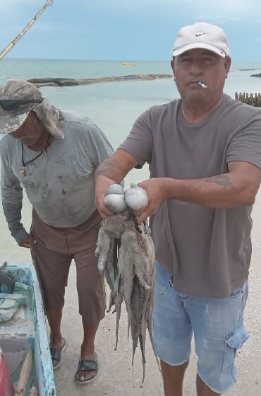  Pérdidas millonarias para Yucatán: el sector pesquero, muy golpeado en 2024