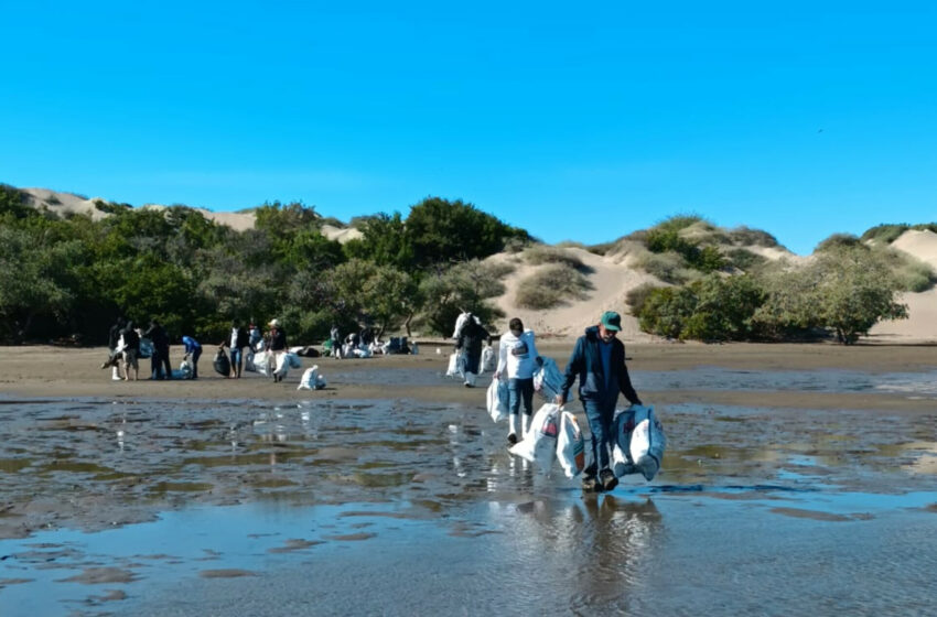 Jóvenes se ponen en acción por la bahía Santa María y retiran media tonelada de basura …