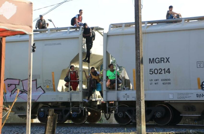  Ayuda a migrantes no se detiene; Las Patronas piden apoyo con despensa, ¿qué puedes donar?