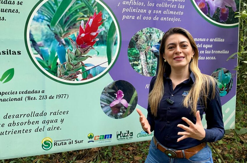  Dianny Albornoz: hacer periodismo ambiental desde el corazón del Macizo Colombiano