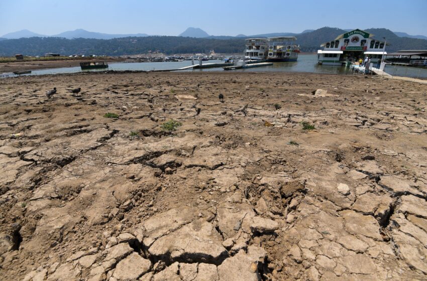  Recorte de 26mmdp a medio ambiente amenaza futuro de México: PVEM – Crónica