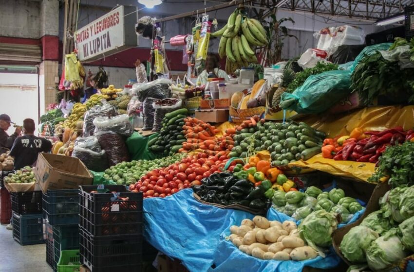  ¡Cuidado con lo que comes! Estudio encuentra metal tóxico y cancerígeno en verduras de CDMX