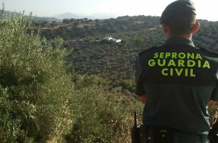  El Gobierno de Sánchez quita las competencias en medio ambiente de la Guardia Civil en Cataluña