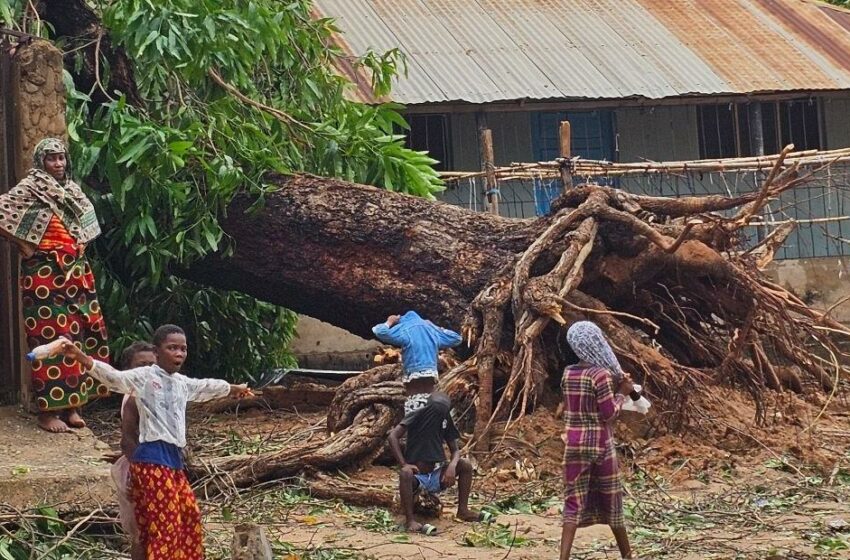  El ciclón Chido devasta el norte de Mozambique y deja miles de personas afectadas