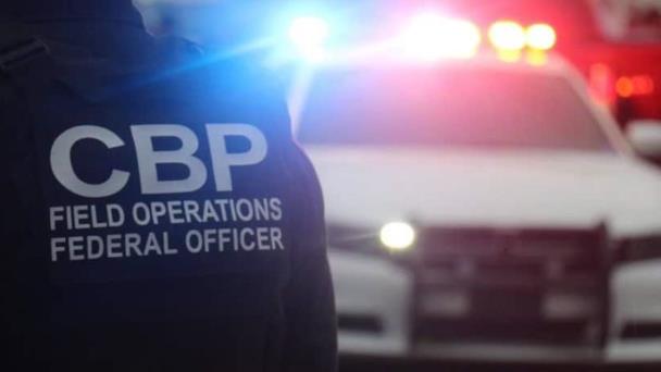  Arrestan a estadounidense: Intercepta CBP 3 monos en puente de Brownsville