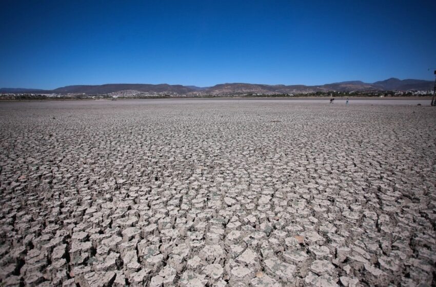  En México 64% de los suelos presentan alguna degradación – La Jornada