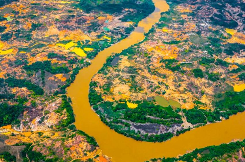  50 familias campesinas en el Bajo Cauca lograron descontaminar 30 hectáreas … – El Colombiano