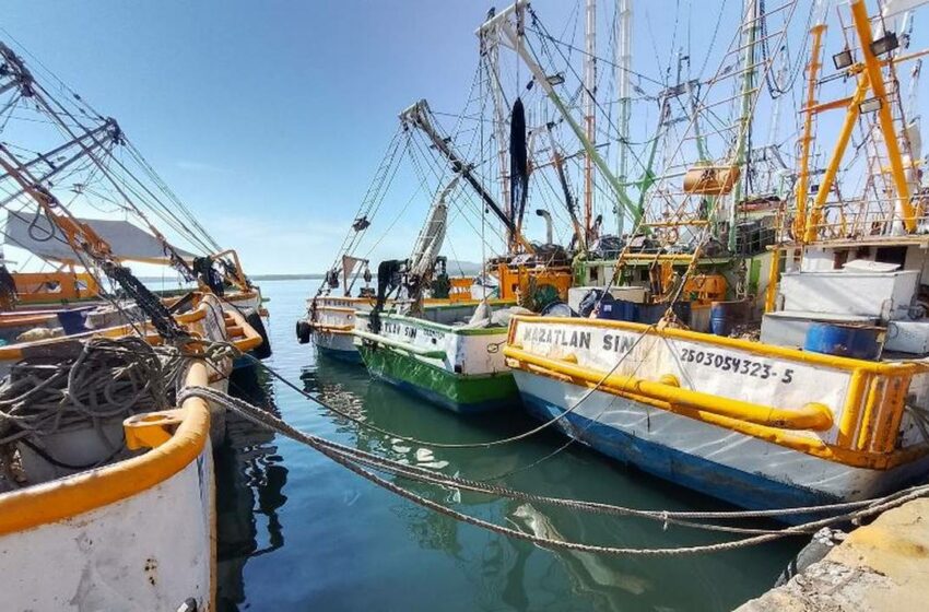  Muelle del Parque Bonfil, en Mazatlán, parece 'barco fantasma'