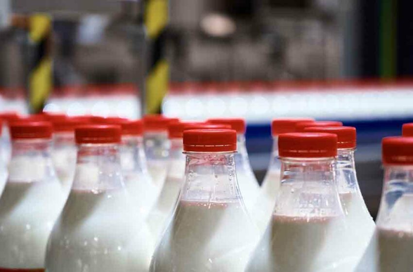  Pasteurización, ¿qué es y por qué los alimentos deben tener este proceso? – UnoTV