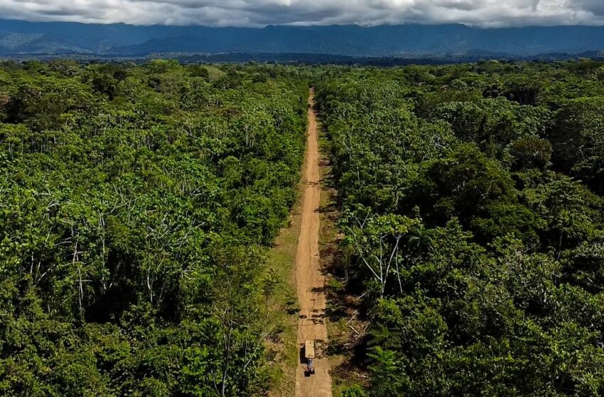  Las deudas ambientales en Perú 2024: un año de debilitamiento ambiental y el avance de …